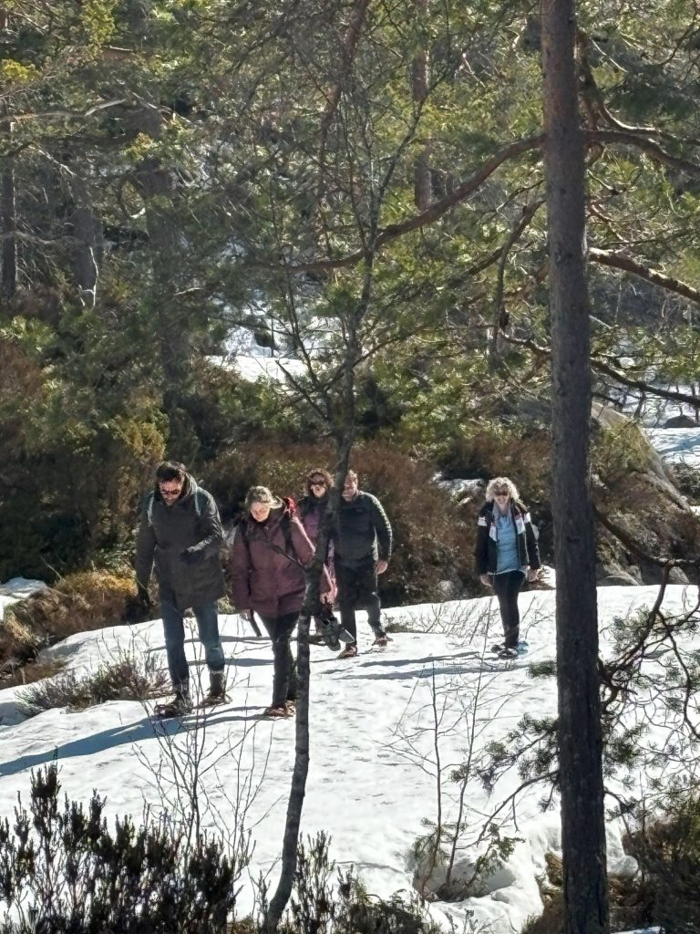 Sneeuwschoenwandeling in Bortelid tijdens een zakelijke reis in Noorwegen